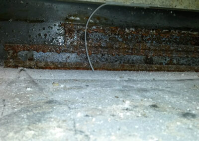 Theo Frommlet Fugentechnik Memmingen - Diagnose & Schadensprävention im Duschbereich - Nässe und Schimmel in Bad