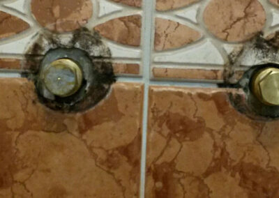 Theo Frommlet Fugentechnik Memmingen - Diagnose & Schadensprävention im Duschbereich - Schimmel