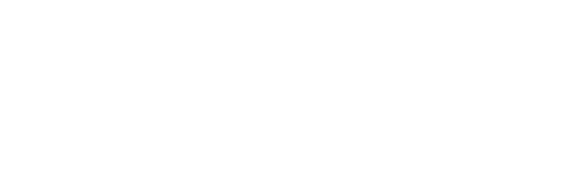 Theo-Frommlet-Siliconfugentechnik-Logo weiß